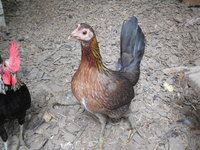 DSCN7318.JPG