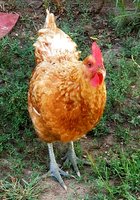 20180806_073232.jpg
