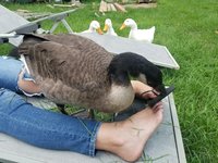 20180805_181556.jpg