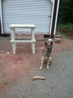 20180806_183601.jpg
