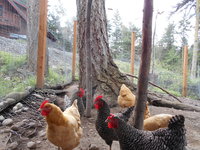 DSCN1226.JPG