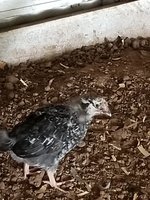 20180807_094306.jpg