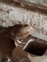 20180807_094325.jpg