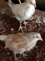 20180807_094329.jpg