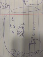 IMG_20180807_200223429.jpg