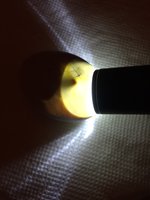 17292341-B0D4-44B0-9F5D-8A62682490E7.jpeg