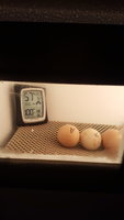 20180808_102840.jpg