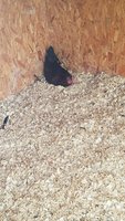 20180808_112838.jpg