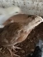 20180807_094125.jpg