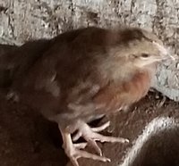 20180807_094325.jpg