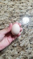 20180806_182111.jpg