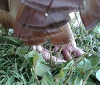 20180808_181017.jpg