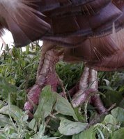 20180808_181023.jpg
