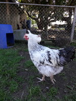 20180809_115324.jpg
