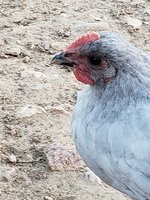 20180808_195154.jpg