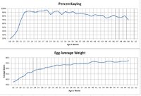 egg-chart-50.jpg