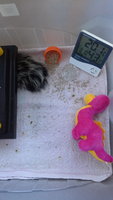 20180809_201417.jpg