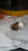 20180806_120714.jpg
