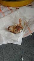 20180806_121200.jpg