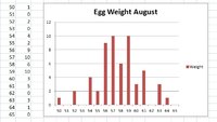 egg-weight-august.jpg