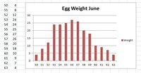 egg-weight-june.jpg