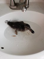 20180809_090337.jpg