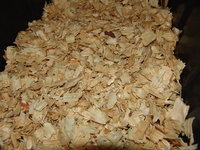 DSC00012.JPG