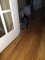 IMG_20180809_152232592.jpg