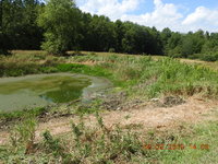 DSCN1148.JPG