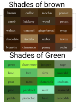 1533864926570.png