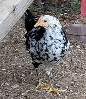 20180810_101120.jpg