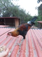 20180810_064004.jpg