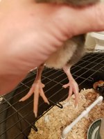 20180810_154601.jpg