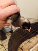 20180810_154554.jpg