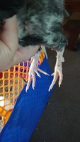 IMG_20180810_112916656.jpg