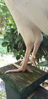 20180810_183434.jpg