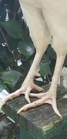 20180810_183532.jpg