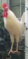 20180810_183557.jpg