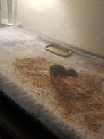 20180810_180636.jpg