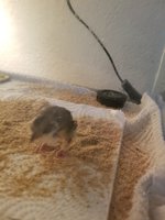 20180810_180701.jpg