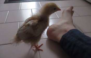 IMG_2038.JPG