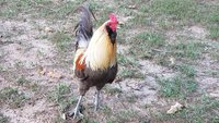 20180720_185341.jpg