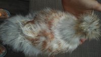 20180811_093159.jpg