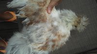 20180811_093227.jpg