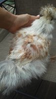 20180811_093207.jpg