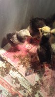 20180811_094154.jpg