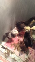 20180811_094153.jpg