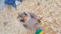 20180811_095840.jpg
