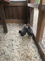 IMG_0874.jpg