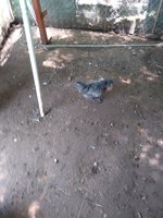 20180809_132612.jpg